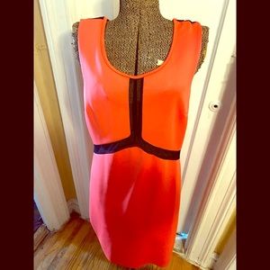 Coral Mesh Detailed Dress